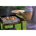 Barbecue au feu de bois Flipper