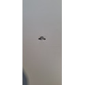 thermostat sécurité thermique Giuliana EVO E