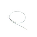 Sonde température fumée