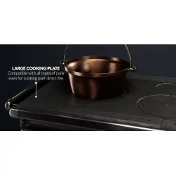 Cuisinière à bois Alaska V16 - 12 Kw