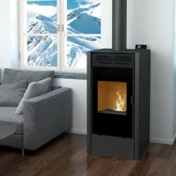 Poêle mixte bois et granulés BiWood noir vitre sérigraphiée