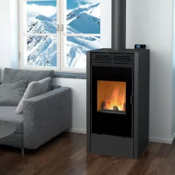 Poêle mixte bois et granulés BiWood noir vitre sérigraphiée