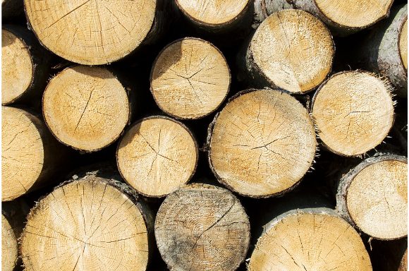 Quand acheter son bois de chauffage ?