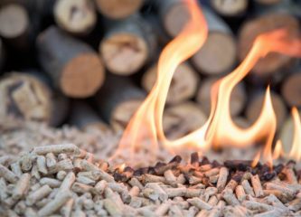 combustion granules bois